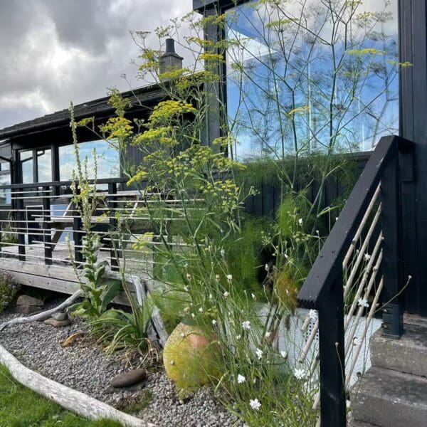 Exterior decking and porch, Wester Lonemore, Dornoch