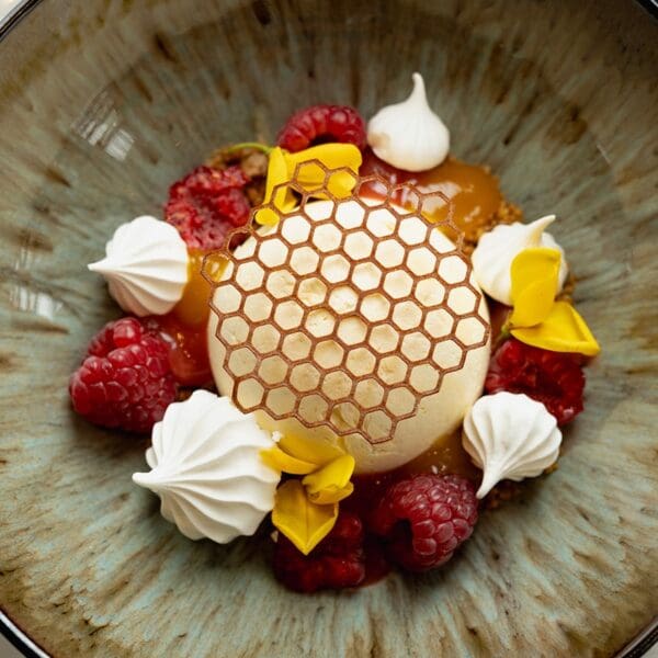 Ice cream dessert with honeycomb design tuile, raspberries, mini meringues and yellow gorse leaves set on brown dish