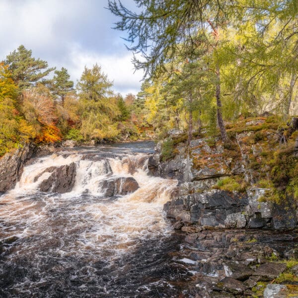 Falls of Shin waterfall with surrounding trees in autumn colours