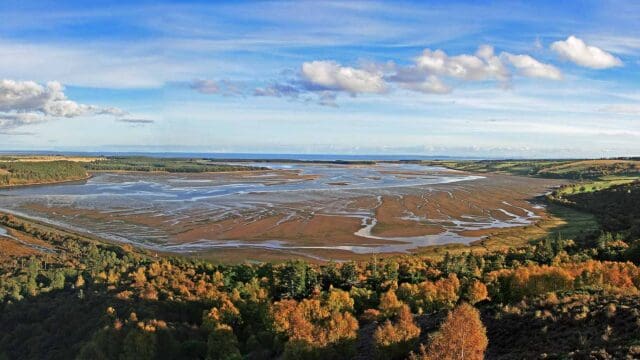 Loch Fleet Nature Reserve