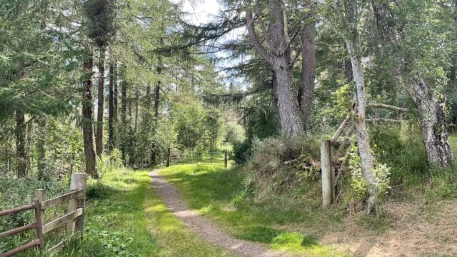 Online Talk: People and Woods in Angus and Eastern Perthshire