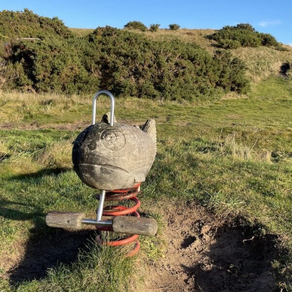 Children's play equipment in play park area set in sand dunes at beach with blue skies on sunny day