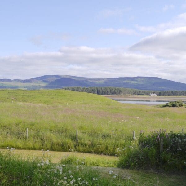 View from Oystercatchers holiday house, Skelbo, Dornoch