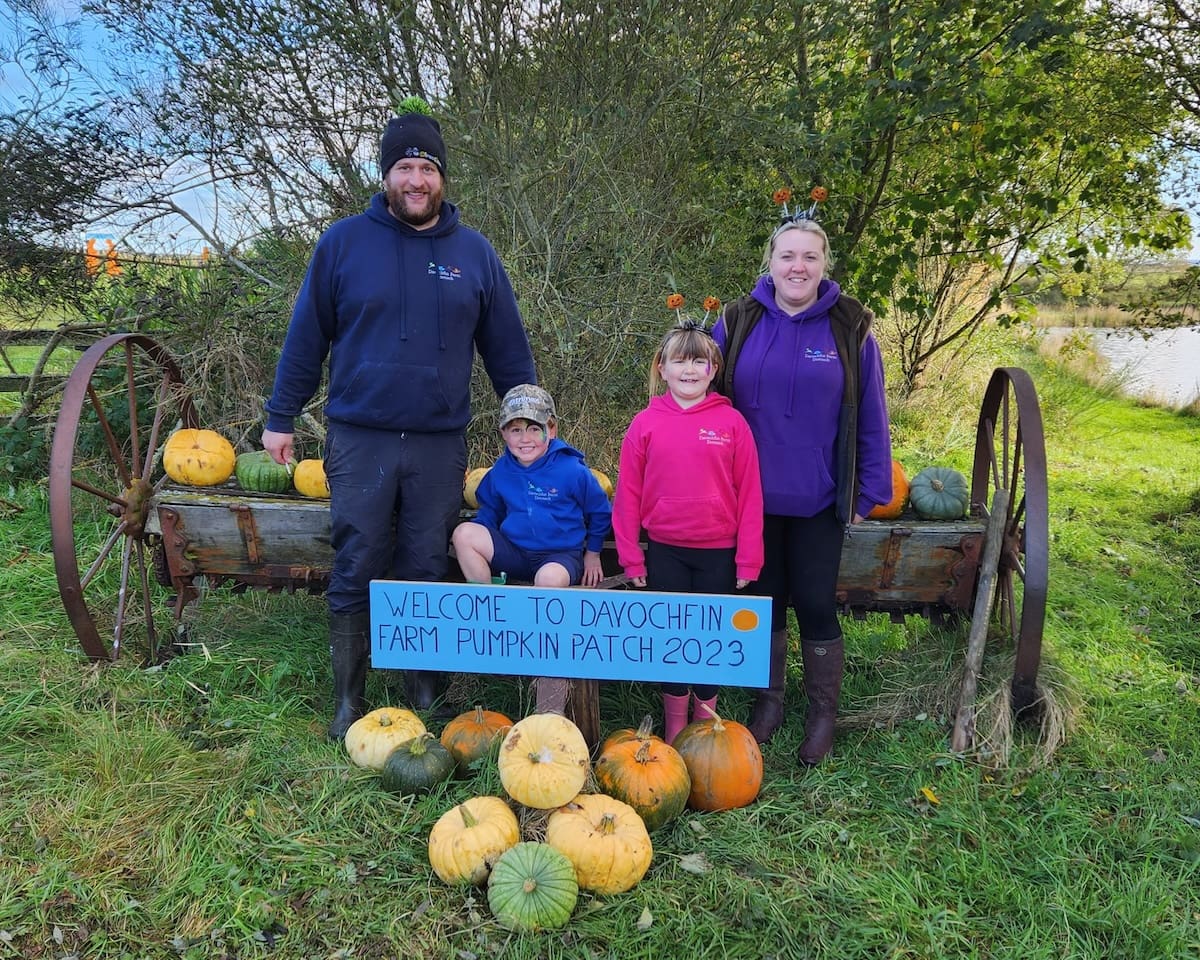 Davochfin Farm Pumpkin Patch