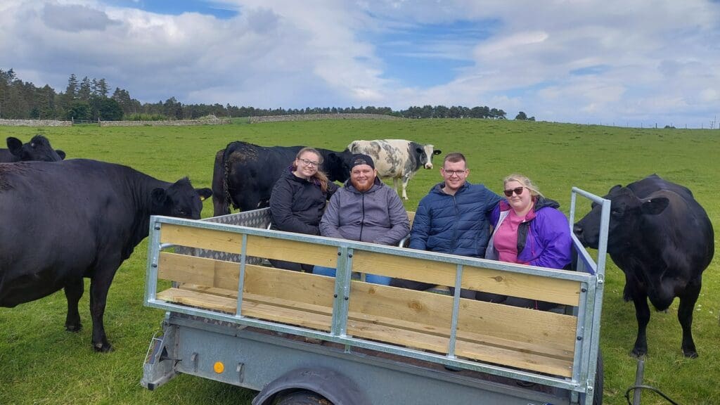 Four people sitting in farm trailer in grass field with cows in background.