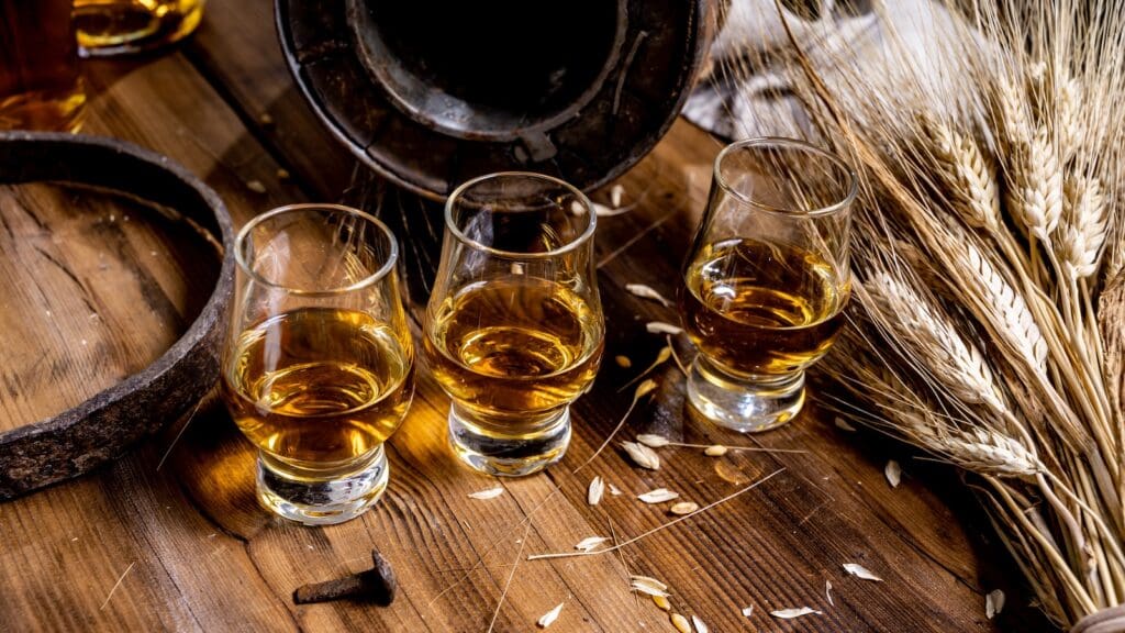 Small tasting glasses with aged Scotch whisky on old dark wooden vintage table with barley grains close up. Highland Whisky Experience