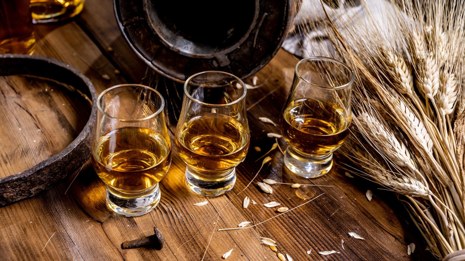 Small tasting glasses with aged Scotch whisky on old dark wooden vintage table with barley grains close up