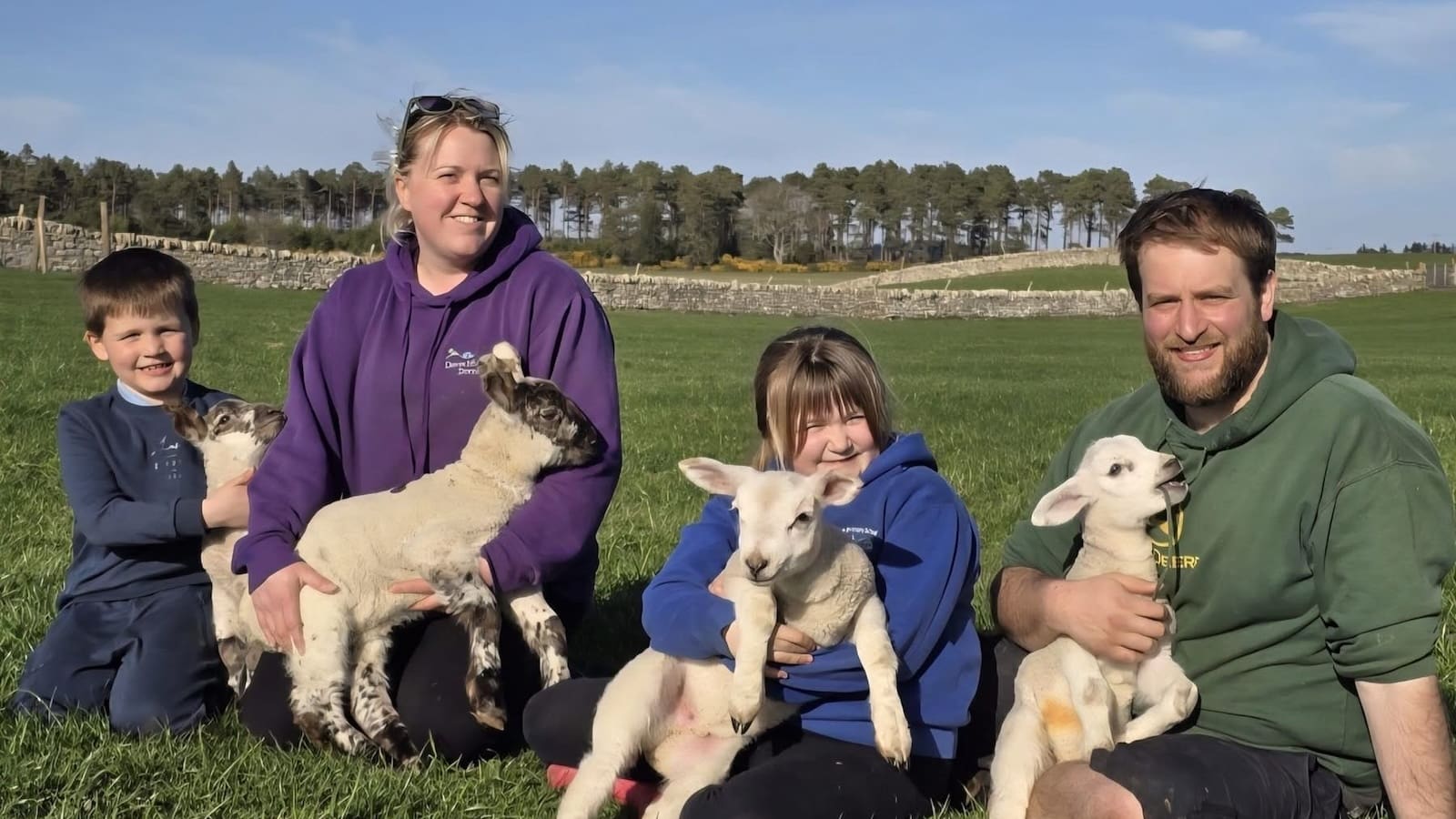 group photo of family of two adults and two children, sitting in grass field holding lambs on a sunny day