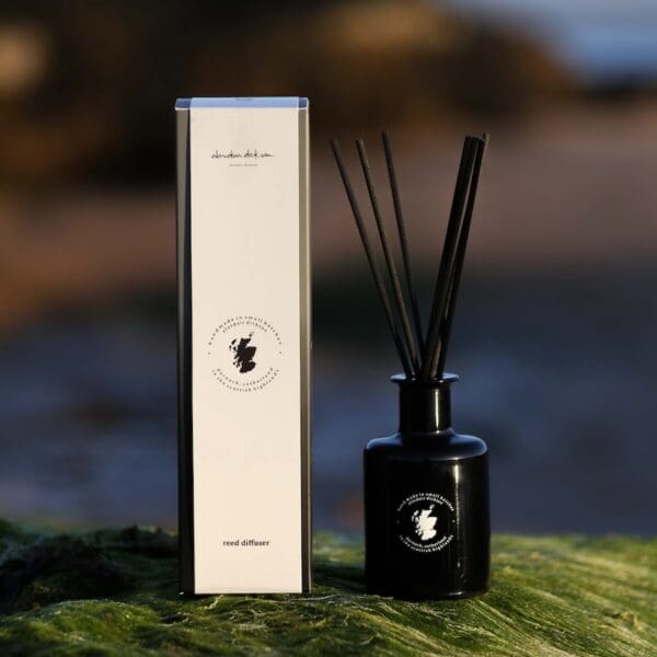Alasdair Dickson Candles, reed diffuser, black scent bottle with black reeds sitting on algae-covered rock next to cream cardboard sleeve box with logo