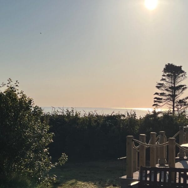 Sea view over top of hedge, decking in foreground