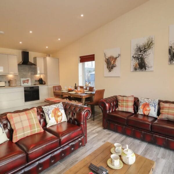 open plan living, dining, kitchen area with pale grey kitchen units, wooden dining table and bench seats and dark leather chesterfield style sofas