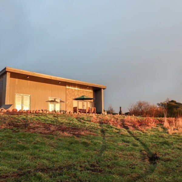 Exterior of modern build bungalow cottage with grey stone and wood cladding. Wooden patio furniture with pale blue parasol. Grass lawn