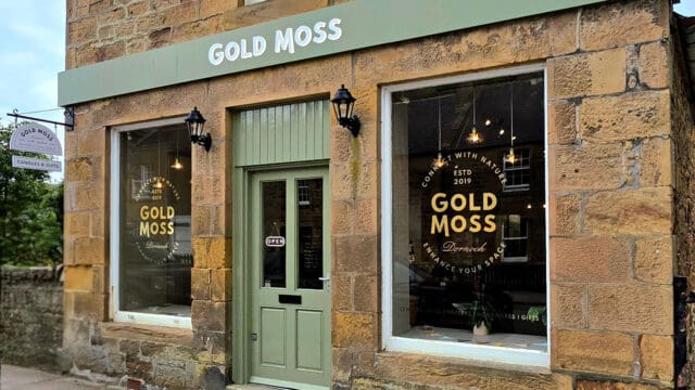 Gold Moss