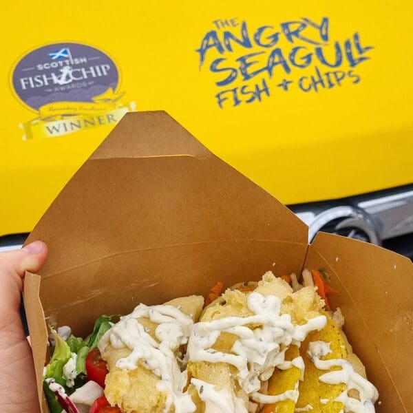 The Angry Seagull Fish and Chips